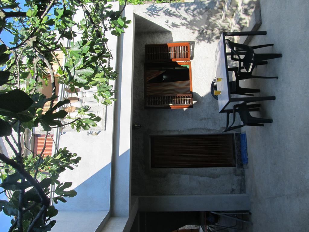 Hotel Petrcane Exterior foto