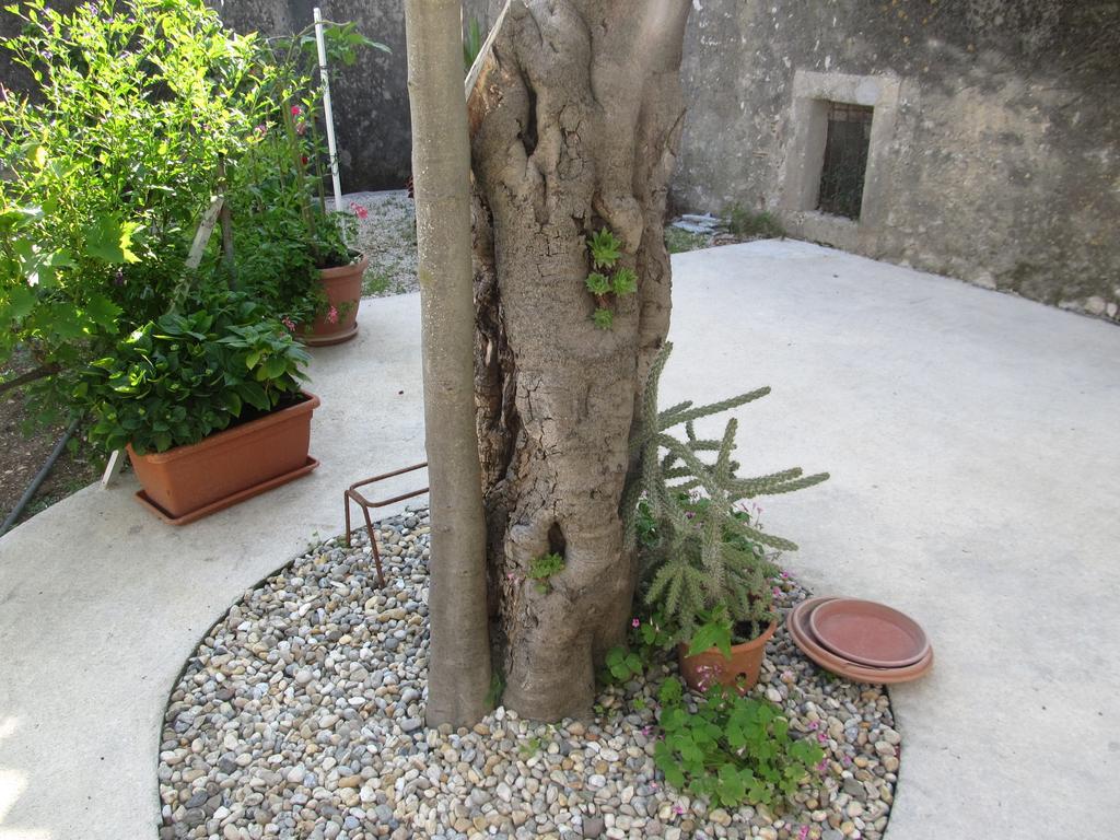 Hotel Petrcane Exterior foto