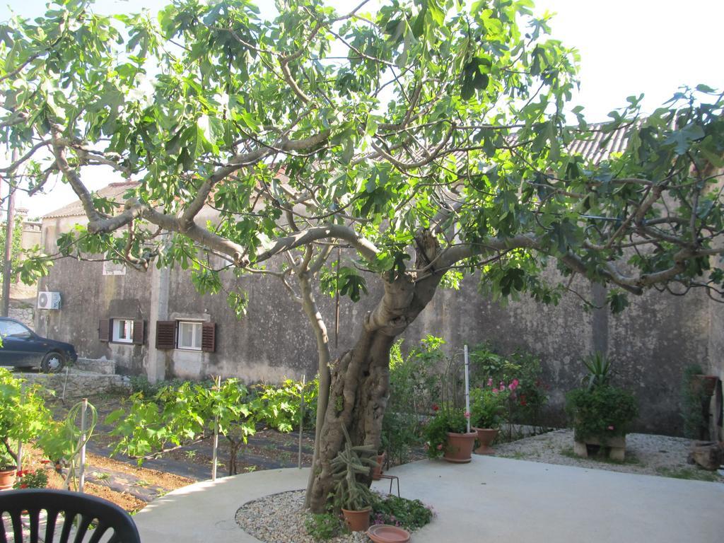 Hotel Petrcane Exterior foto